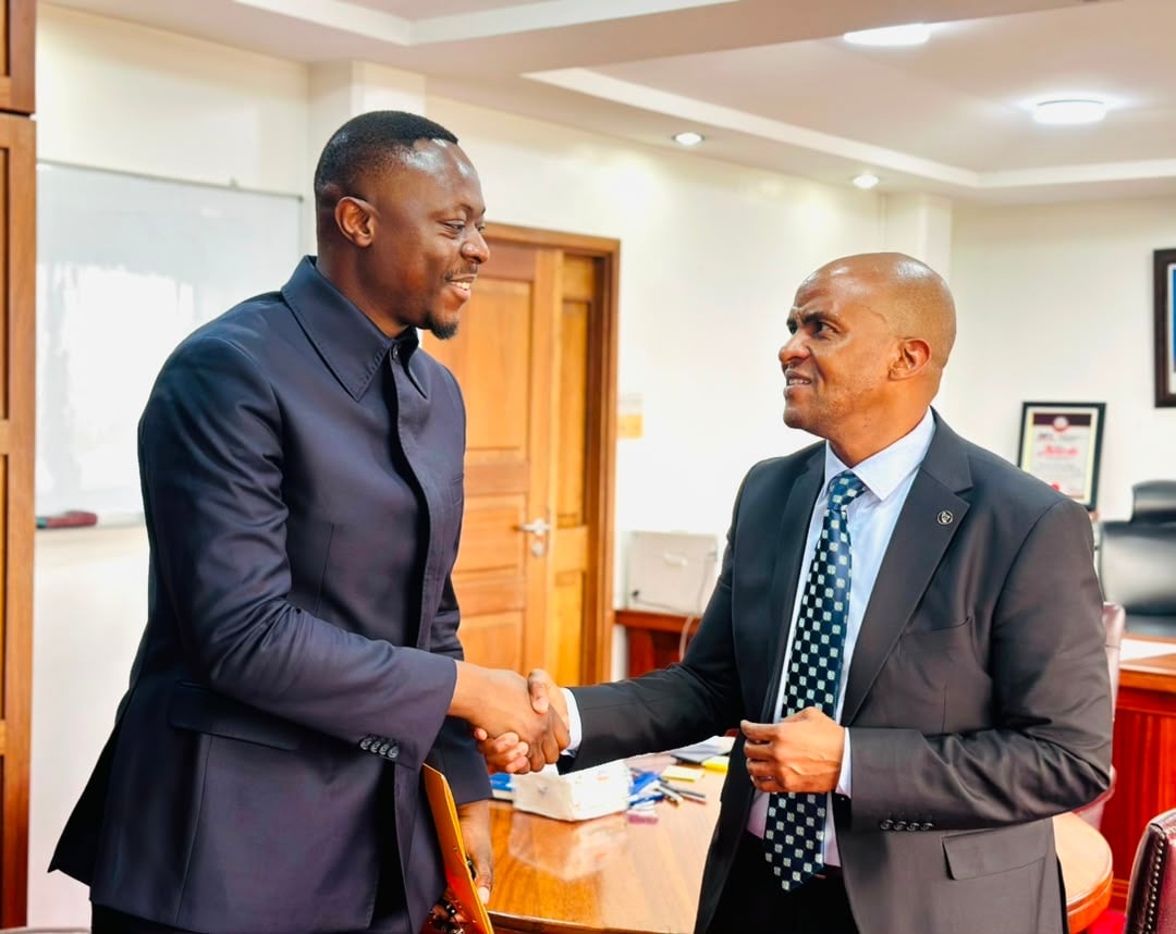 Interconnexion RDC–Tanzanie : la SNEL et TANESCO relancent le projet de ligne électrique de 400 kV
